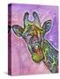 Giraffe-Dean Russo-Stretched Canvas