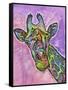 Giraffe-Dean Russo-Framed Stretched Canvas