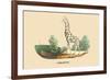 Giraffe-E.f. Noel-Framed Art Print