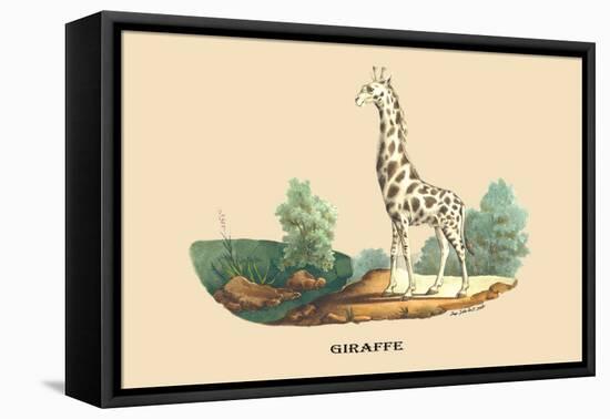 Giraffe-E.f. Noel-Framed Stretched Canvas