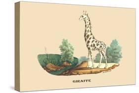 Giraffe-E.f. Noel-Stretched Canvas