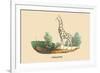 Giraffe-E.f. Noel-Framed Premium Giclee Print