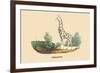 Giraffe-E.f. Noel-Framed Premium Giclee Print