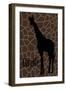 Giraffe-Ikuko Kowada-Framed Premium Giclee Print