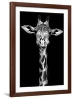 Giraffe-Incado-Framed Photographic Print