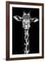 Giraffe-Incado-Framed Photographic Print