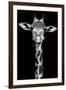 Giraffe-Incado-Framed Photographic Print