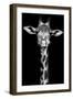 Giraffe-Incado-Framed Photographic Print