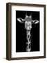 Giraffe-Incado-Framed Photographic Print