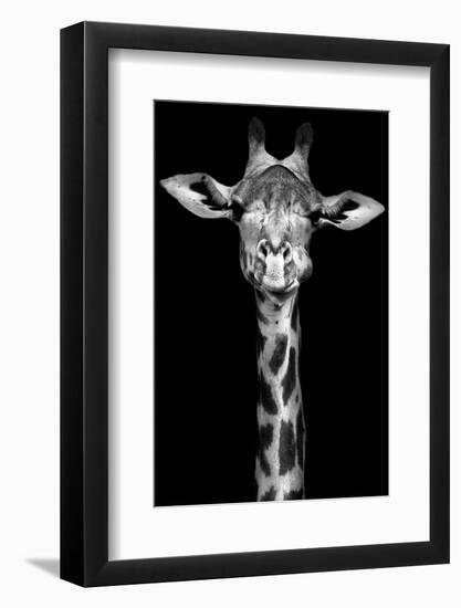 Giraffe-Incado-Framed Photographic Print