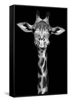 Giraffe-Incado-Framed Stretched Canvas