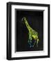 Giraffe-Victoria Brown-Framed Art Print