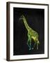 Giraffe-Victoria Brown-Framed Art Print