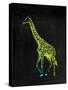 Giraffe-Victoria Brown-Stretched Canvas