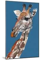 Giraffe-Mark Adlington-Mounted Giclee Print