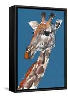 Giraffe-Mark Adlington-Framed Stretched Canvas