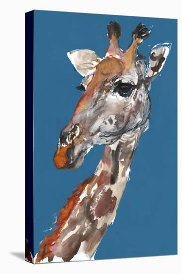 Giraffe-Mark Adlington-Stretched Canvas
