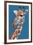 Giraffe-Mark Adlington-Framed Giclee Print