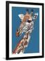 Giraffe-Mark Adlington-Framed Giclee Print