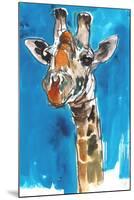 Giraffe-Mark Adlington-Mounted Giclee Print