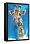 Giraffe-Mark Adlington-Framed Stretched Canvas