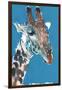 Giraffe-Mark Adlington-Framed Giclee Print