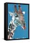 Giraffe-Mark Adlington-Framed Stretched Canvas