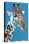 Giraffe-Mark Adlington-Stretched Canvas