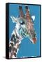 Giraffe-Mark Adlington-Framed Stretched Canvas