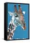 Giraffe-Mark Adlington-Framed Stretched Canvas