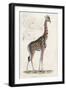 Giraffe-null-Framed Art Print