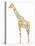 Giraffe-Louise Tate-Stretched Canvas