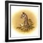 Giraffe-Peggy Harris-Framed Giclee Print