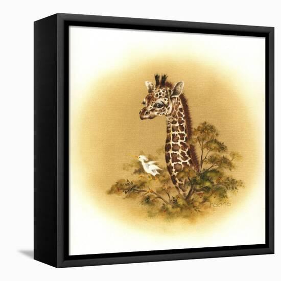 Giraffe-Peggy Harris-Framed Stretched Canvas