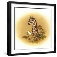 Giraffe-Peggy Harris-Framed Premium Giclee Print