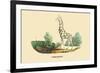 Giraffe-E.f. Noel-Framed Art Print