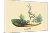 Giraffe-E.f. Noel-Mounted Art Print