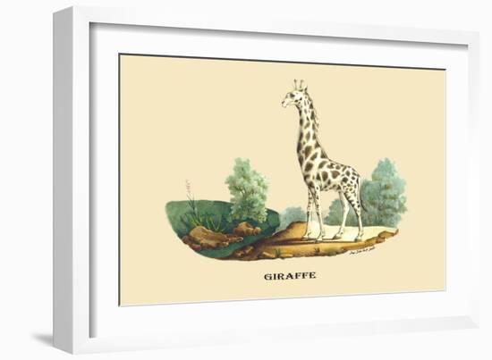 Giraffe-E.f. Noel-Framed Art Print