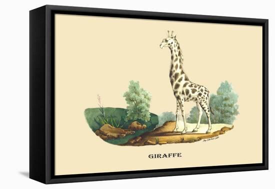 Giraffe-E.f. Noel-Framed Stretched Canvas