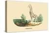 Giraffe-E.f. Noel-Stretched Canvas