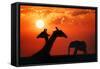 Giraffes and Elephant in the Sunset-null-Framed Stretched Canvas