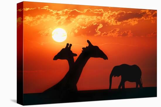 Giraffes and Elephant in the Sunset-null-Stretched Canvas