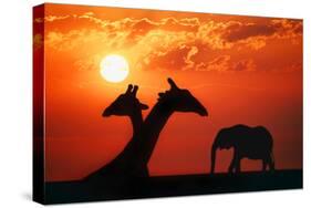 Giraffes and Elephant in the Sunset-null-Stretched Canvas