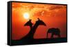 Giraffes and Elephant in the Sunset-null-Framed Stretched Canvas