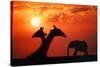 Giraffes and Elephant in the Sunset-null-Stretched Canvas