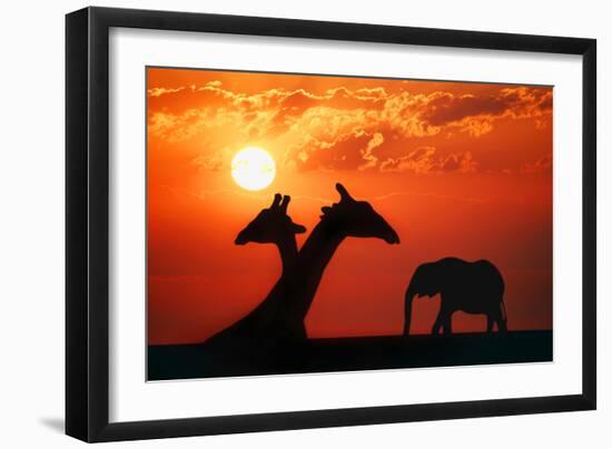 Giraffes and Elephant in the Sunset-null-Framed Photographic Print