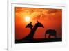 Giraffes and Elephant in the Sunset-null-Framed Photographic Print