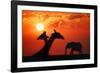 Giraffes and Elephant in the Sunset-null-Framed Photographic Print