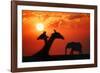 Giraffes and Elephant in the Sunset-null-Framed Photographic Print