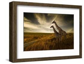 Giraffes and the Landscape-nexus 7-Framed Photographic Print